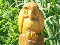 Eule