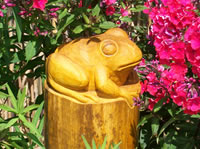 Frosch